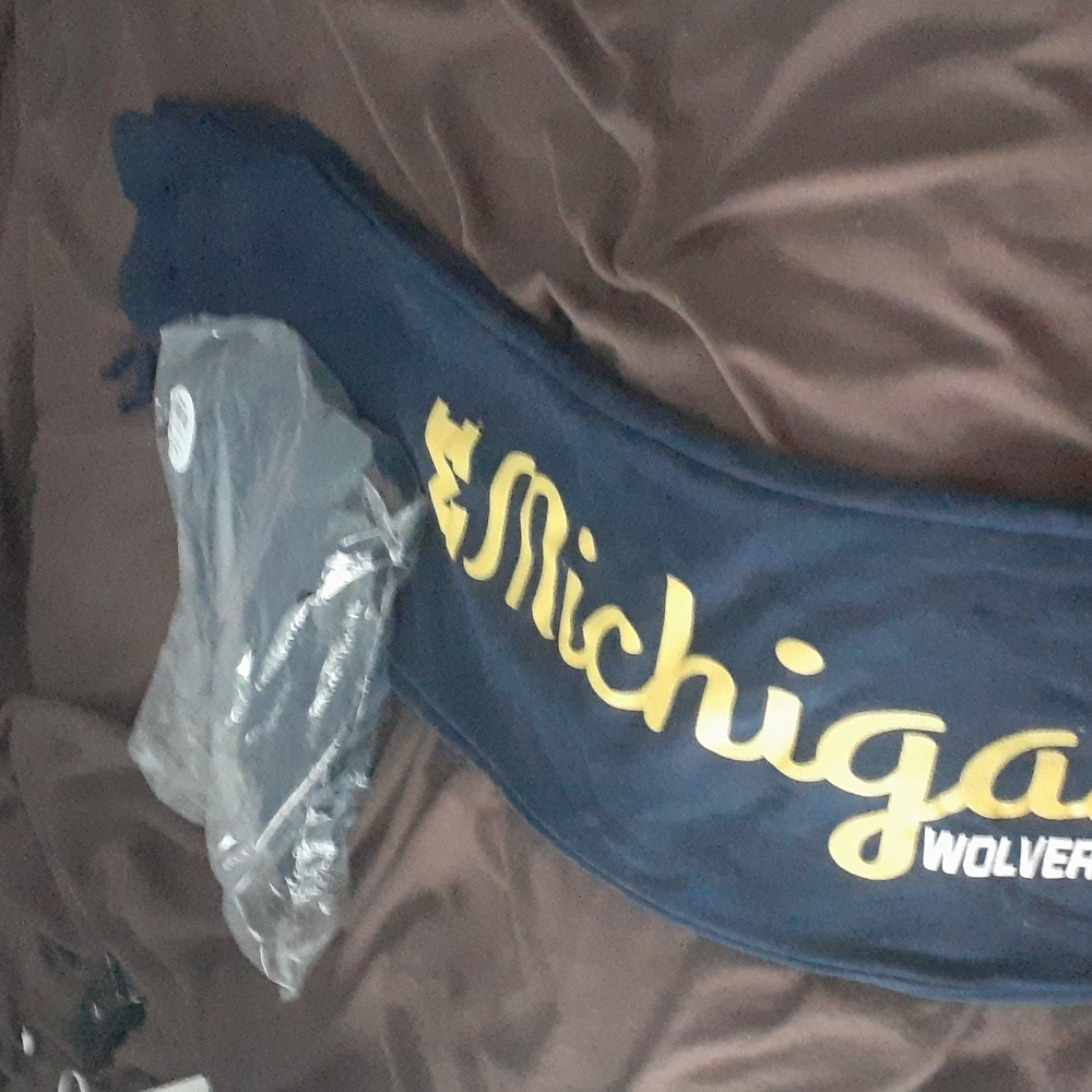 Michigan Wolverines Sweat Pants